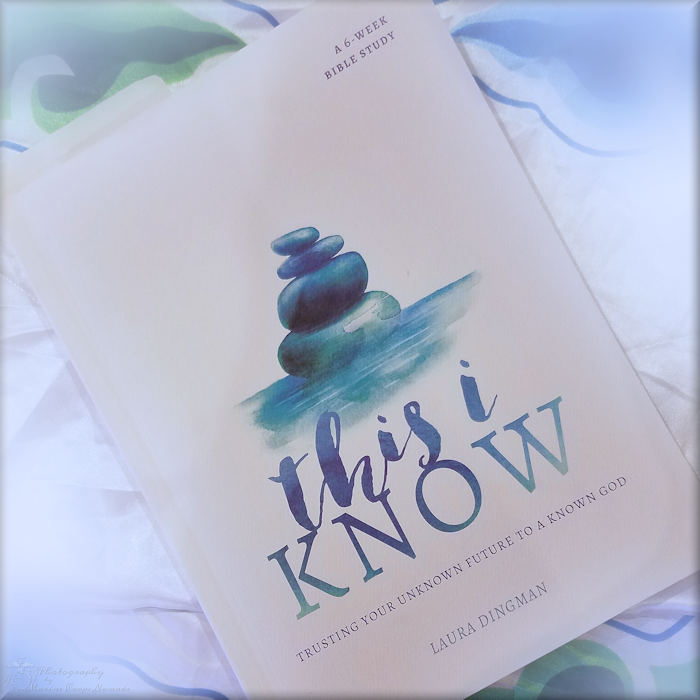 This I Know by Laura Dingman