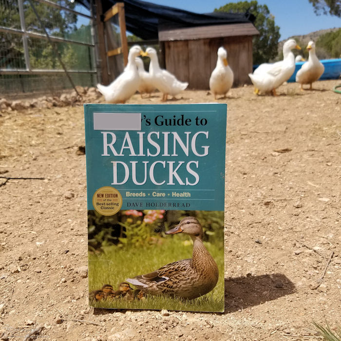 Storey's Guide to Raising Ducks